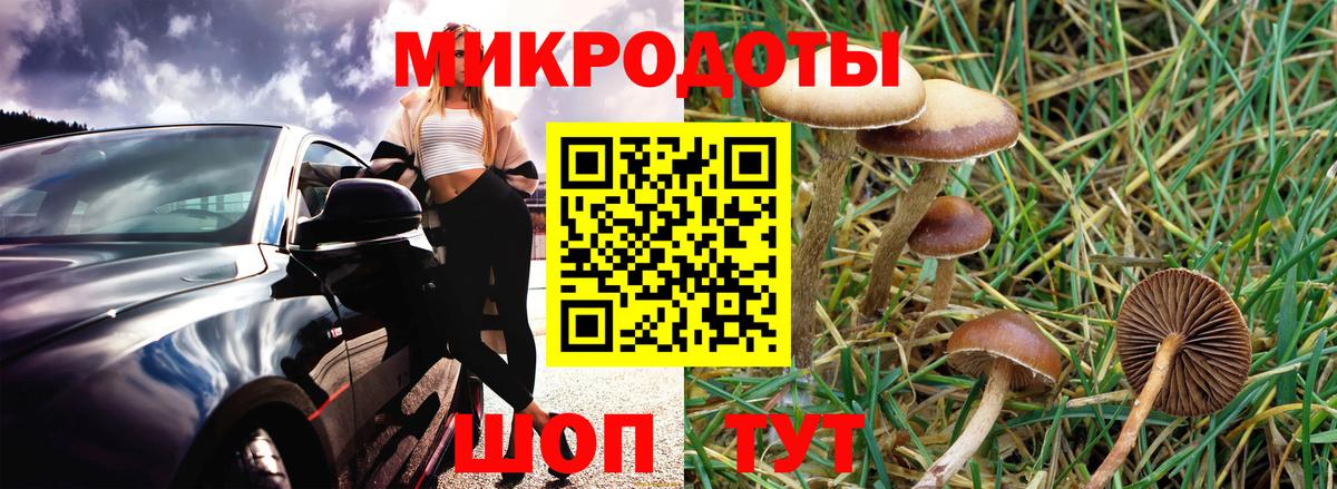 Белгород  Галлюциногенные грибы мицелий  Вход с VPN 