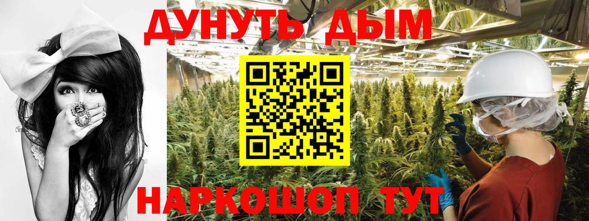 Каннабис индика Белгород